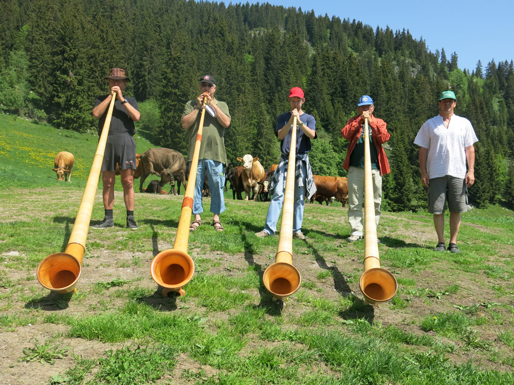 2013 06 16 21 leysin 014
