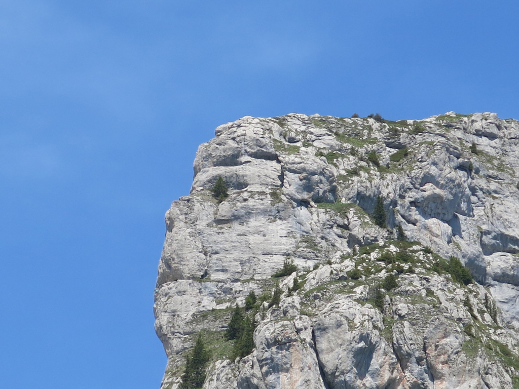 2013 06 16 21 leysin 021
