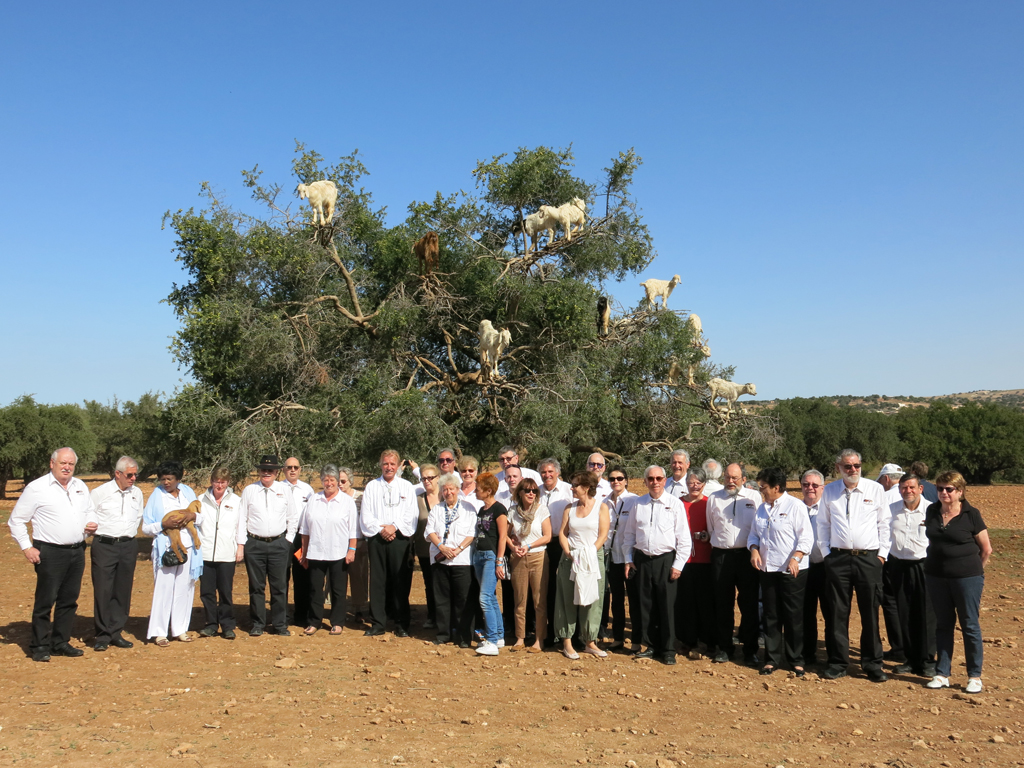 2014 03 12 maroc 006