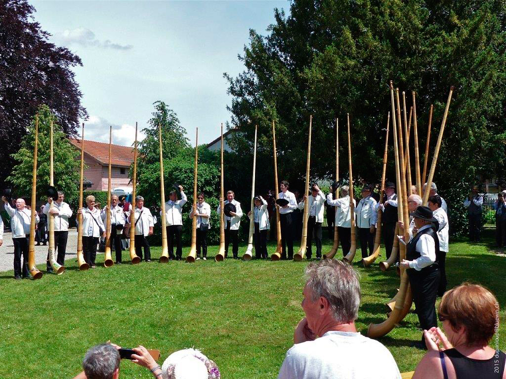 2015 05 31 versoix 002