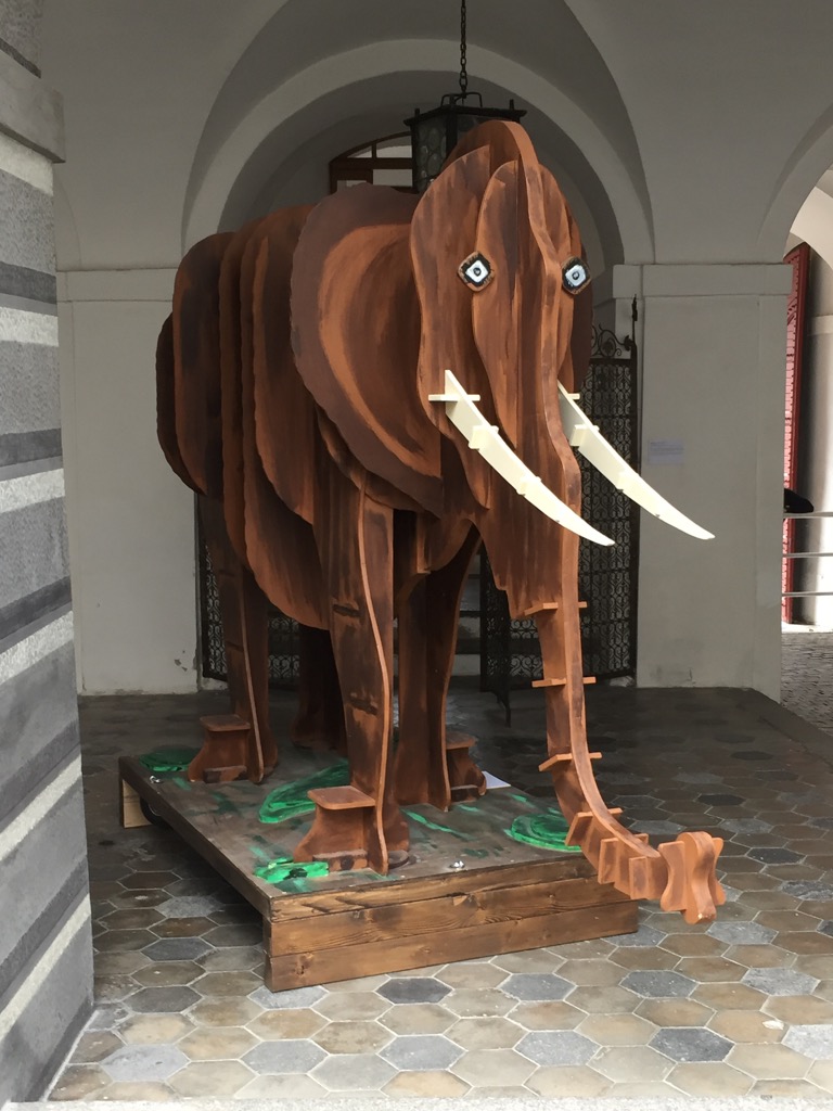 Aas 2015 kufstein 028