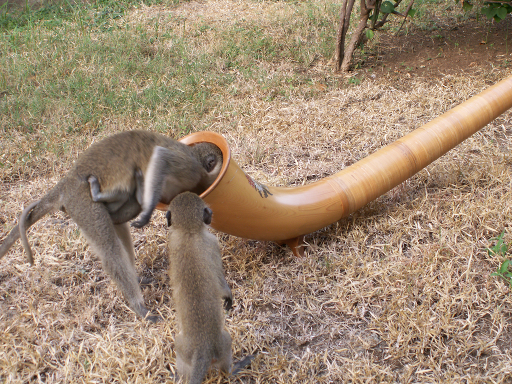2007 02 kenya 003